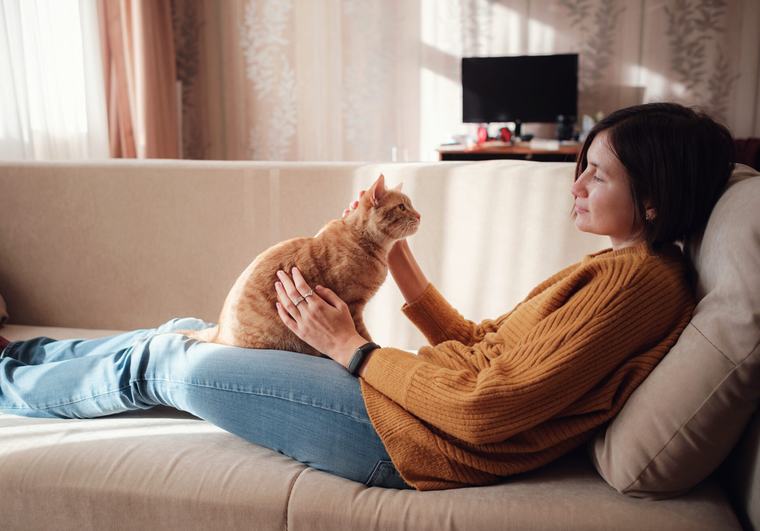 5 kočičích plemen, která umí zvednout náladu i po nejhorším dni Přijdete domů utahaní, v hlavě samá starost, a u dveří na vás […] Extrafit.cz 5 min