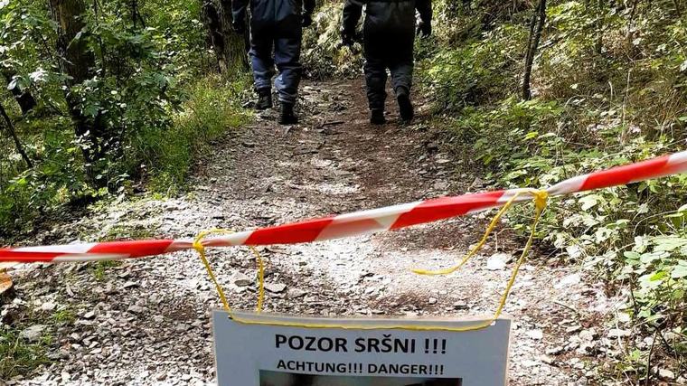 Na vrchu Bořeň útočí sršni!