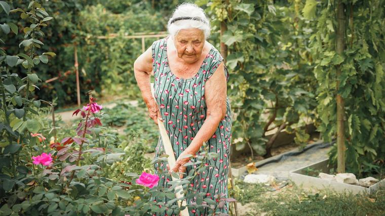 Sousedská výpomoc mizí a služby zdražují. Senior dnes platí za věci, které dřív bývaly samozřejmé