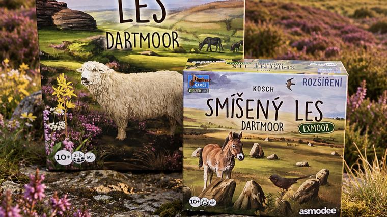 Smíšený les: Dartmoor – Exmoor: Váš les už nikdy nebude jako dřív