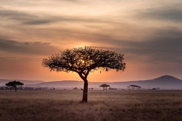Magický africký horoskop. Jeho dvanáct znamení vás zaručeně překvapí