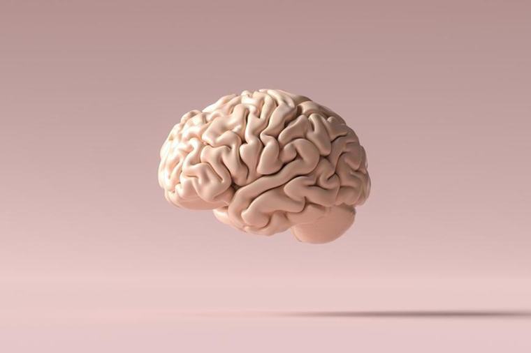 Živý mozek v křemíkovém čipu. Lidské neurony v miskách už počítají i hrají hry